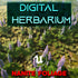 Digital Herbarium - Nanite Foliage System Unreal Engine 5.3 - 5.5